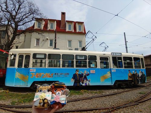 函館と🚃。