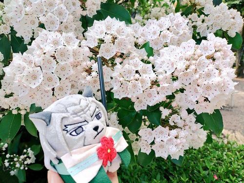 ⚔️と❀。