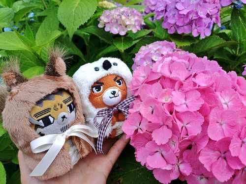 紫陽花と🐱と🐻。
