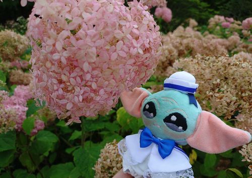 紫陽花とｸﾞﾛｰｸﾞｰ。その11
