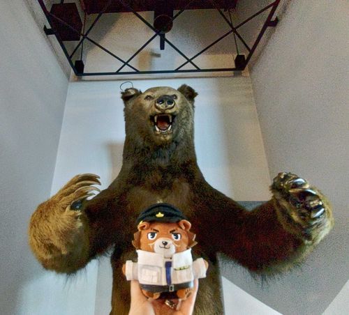 🐻ｺﾚｸｼｮﾝ！