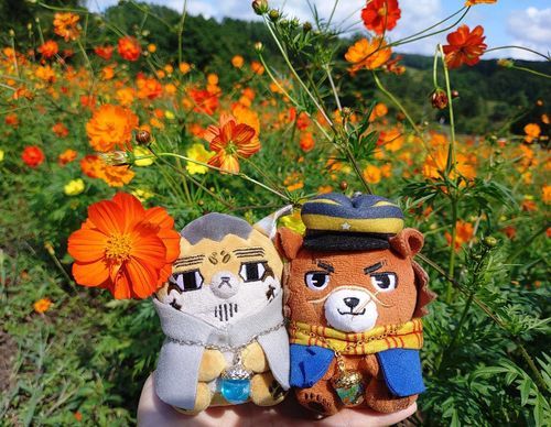 ｺｽﾓｽと🐱と🐻。