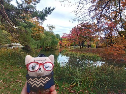 ｷｸﾀさんと中島公園。