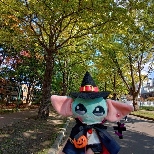 🍁とｸﾞﾛｰｸﾞｰ。
