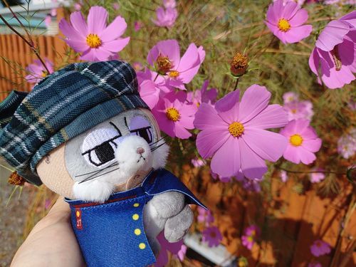 ❀とﾆｶｲﾄﾞｳ。
