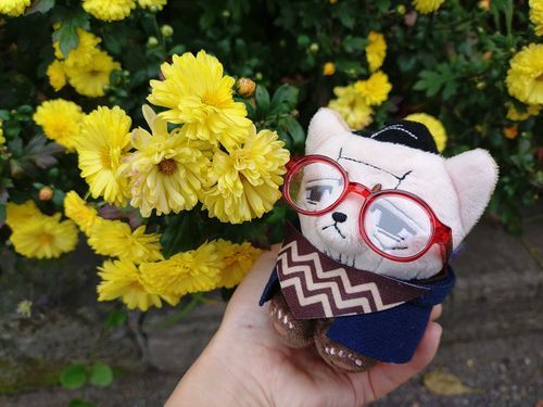 🌼とｷｸﾀさん。