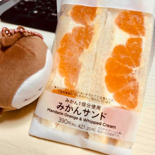 🍖❓
みかんだよ