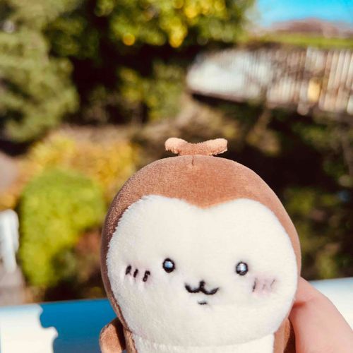 🪲）））
歩いて帰ろうか