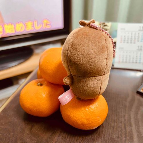 🍊✨
年末だね。