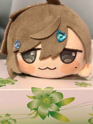 ティッシュケースにすっぽり🫢
