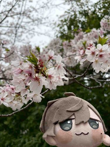 新学期が始まりました…