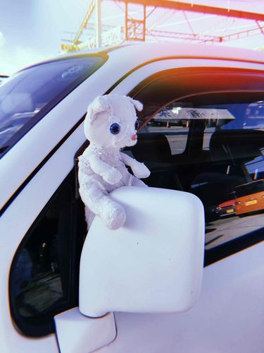 代々受け継いできた車におわかれを