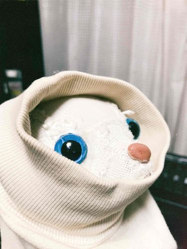 冬になったらやる遊び