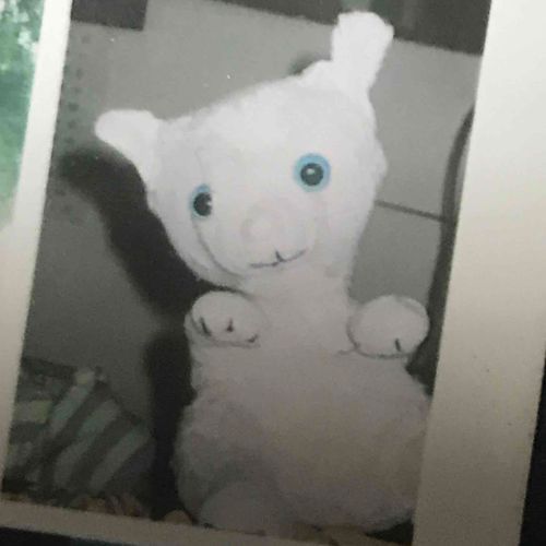 ふわふわしてた頃の写真が出てきた