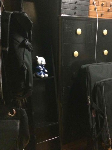 白と黒のコントラスト
