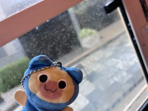 しとしと☔