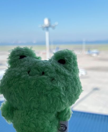 すごくはれてたナ☀️