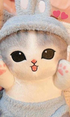 うさにゃん 	おふろはいったの！たくさん	 ほめてもらったの！やったー！！