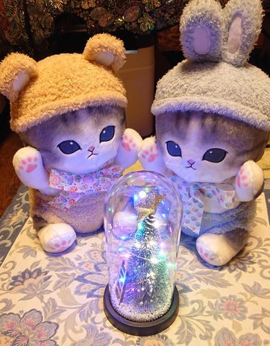 クリスマスのときの！だよ！