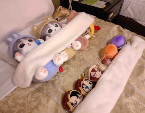 みんなでおやすみ したんだよ〜〜〜〜〜〜〜〜〜！！！！！！