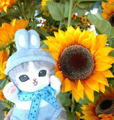 ひまわり！いっぱいだったよ〜！！！
あのね！あんどろいどばんが出たって、おねーちゃんすっごくよろこんでたよ！！！うさにゃんもうれしい！ありがと〜！！！