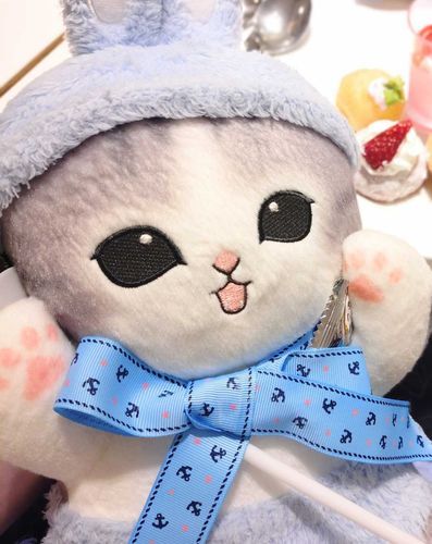 おでかけに うさにゃんもいると おねーちゃん こころづよいんだって！こころが つよくなるの？やった〜！