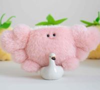 カニのカニィー