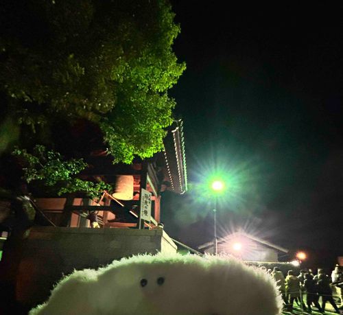 あけましておめでとうございます！かにぃ〜！！
ことしもじょやのかにぃ〜にいってきたよ！はつもうでにいくころには、もうぼんのうだらけでね、かにぃはね…いきてるなあってかんじたよ
ことしもよろしくおねがいしますかにぃ〜！！🦀✨