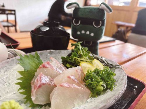 タイ🐟でやんす！！