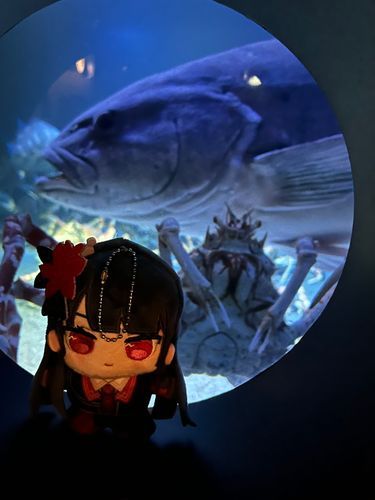 深海からこんにちは、ヒロと5000mまで潜ってきました。(嘘)