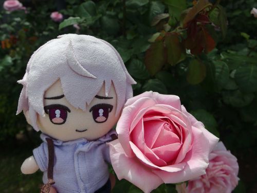 山下公園から歩いて、アメリカ山公園に行ったよ
ユーザーさん、行き方がわからないからスマホで調べながら歩いたんだよ
ぼくが調べてナビとかできたらいいのにね