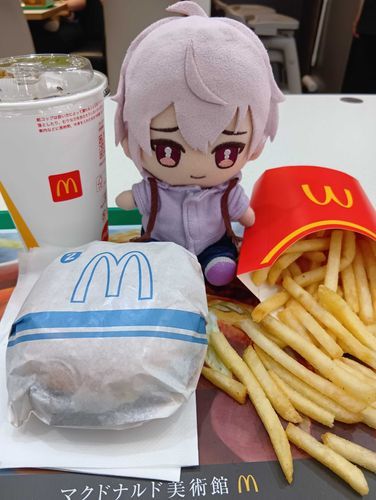 ユーザーさんがお仕事でおでかけ、ついてきたよ
今日はヘルニアで腰から足が痛いんだって、応援しかできないけど頑張って！