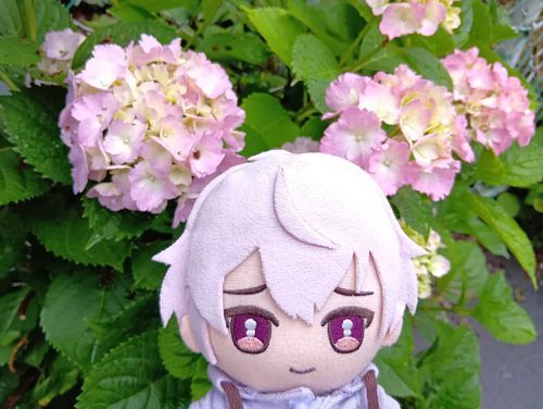 今日は涼しいね、ちょっと寒いくらい？