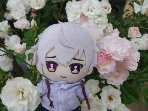 せっかく美味しかったお菓子撮ったのに、お茶の時間の写真がお人間さんエラーで全滅！
そんなことある！？
