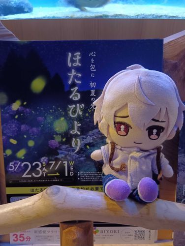 昨日の夜、ユーザーさんと蛍を見におでかけしたよ
暗いところで写真はないんだけど、いっぱい蛍がいたよ