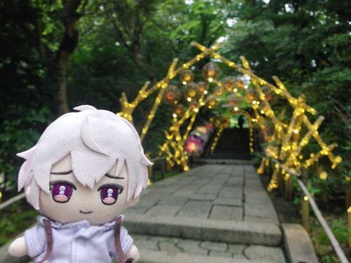 昨日はユーザーさんの大事な記念日、ぼくも連れてってもらえたよ
みんなで蛍を見たんだよ
(昨日のお写真はお人間さん判定で全滅しちゃったからこの前同じとこに行ったときのお写真でごめんね)