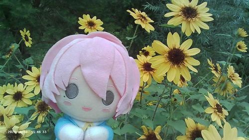 ひかるくんにカメラ借りて撮ってみたよ