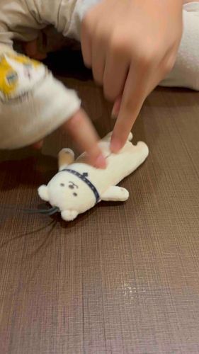 しば公、出先で母と妹に攻撃を喰らうの巻