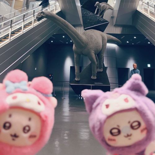 春行ったで