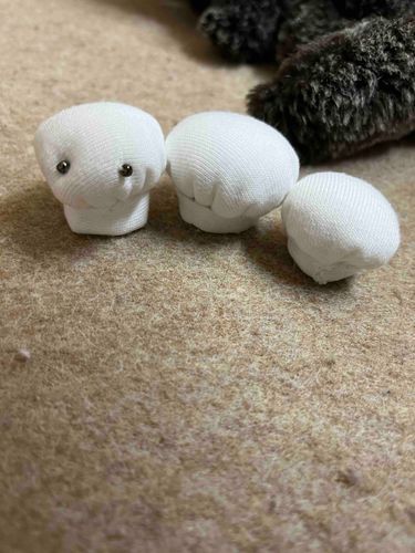 シチューに入れて食べちゃいます