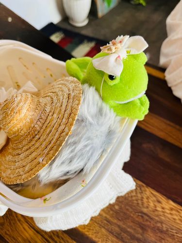 オサレなカフェに来ています！