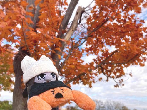 あきふかまる🍁