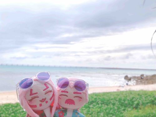 うみー🌊