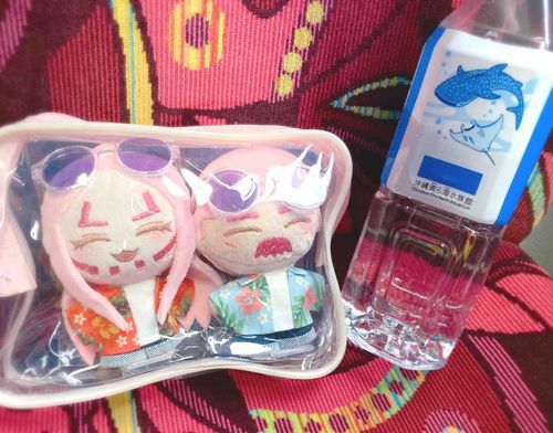 ばすってわくわく🚌
