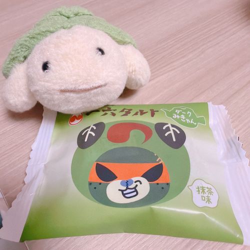 めっちゃ嬉しそう😂！！かわい
カメカメ〜！！！
