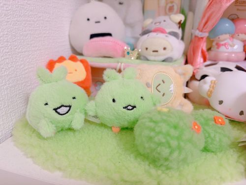モリゾーとキッコロを お迎えしたよ！
キッコロを パシャリ✨
ようこそ！ようこそ！！