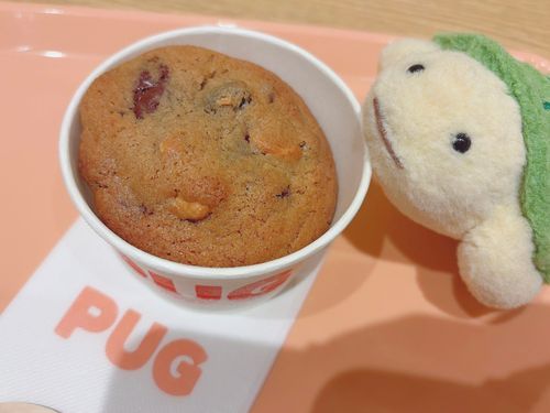 クッキーの下には バニラアイスがっ！！！🍪🍨✨
ふわふわサクサクのクッキーを 砕きながら食べた🙏🏻