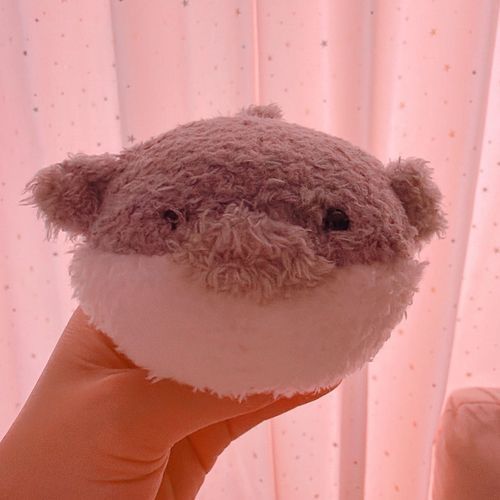 このあいだ 海響館に行った時に お迎えした ぶっちゅちゃん！！！
丸くてふわふわ〜☁*°