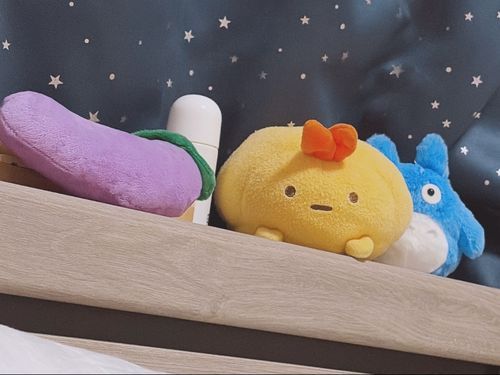 気付いたら ちびせんくんに 見つめられていたよ👀✨
熱い 眼差しっ！！！