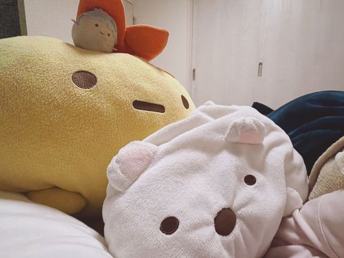 大好きな ぬい達！！！！！